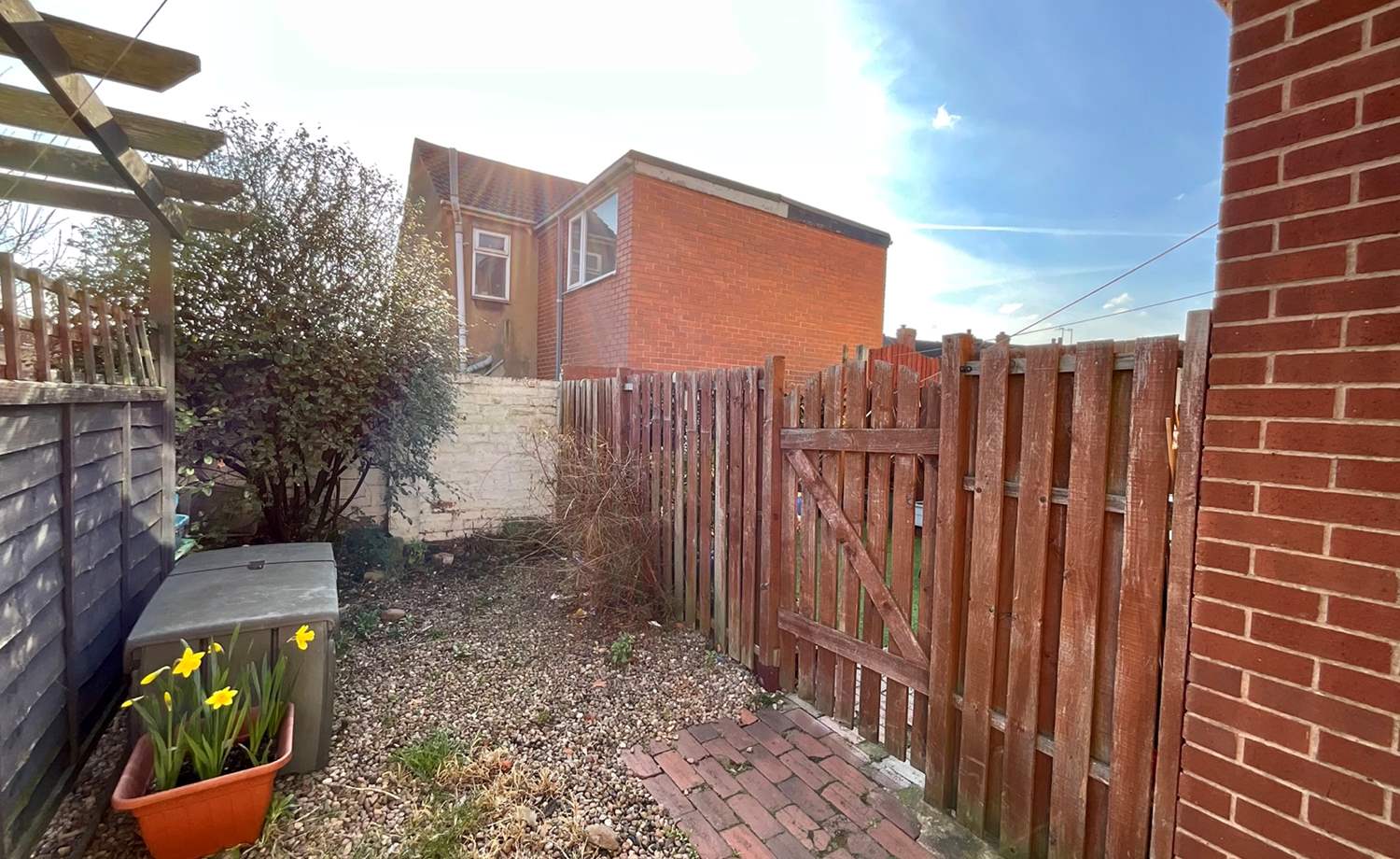rear garden