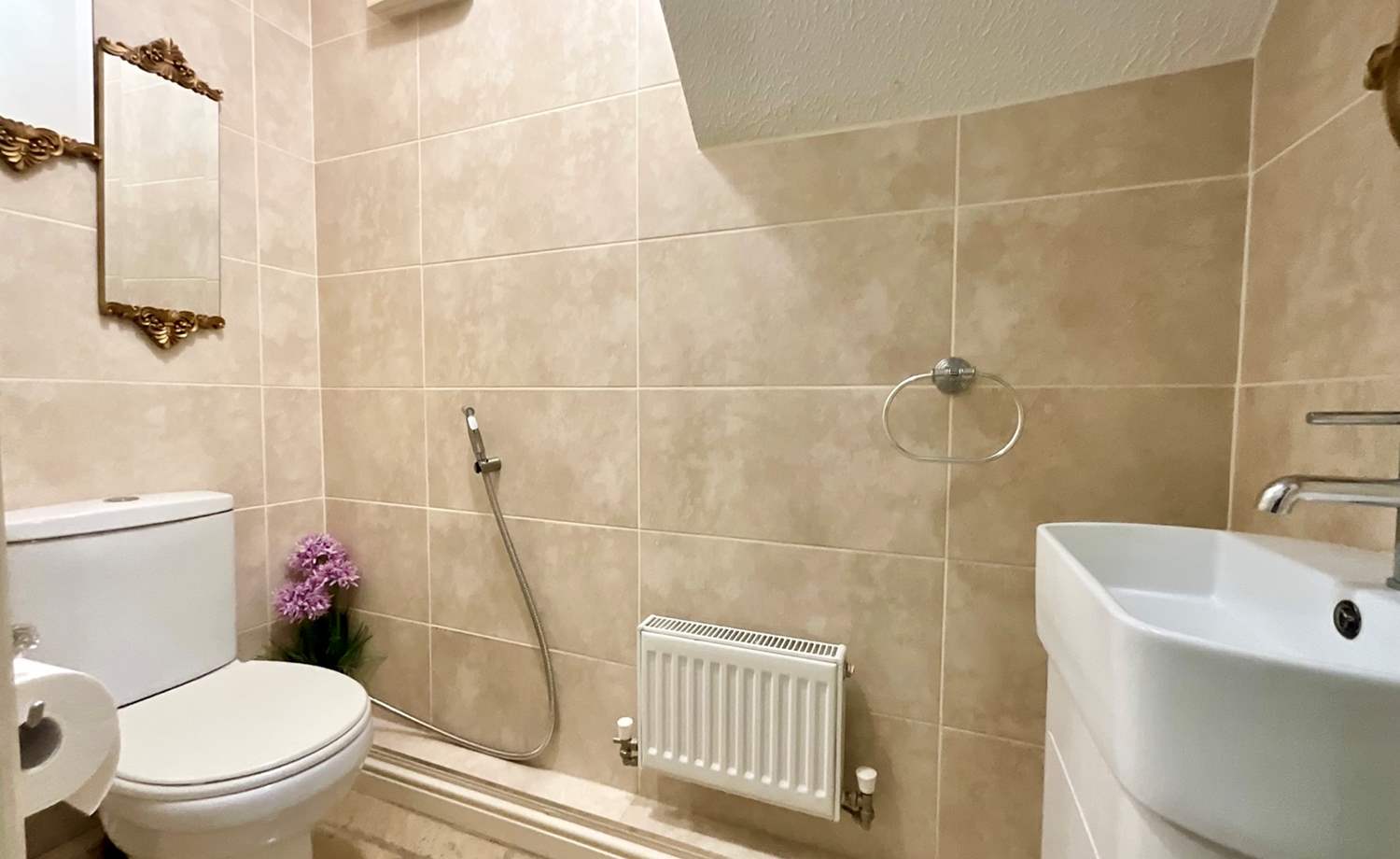downstairs wc