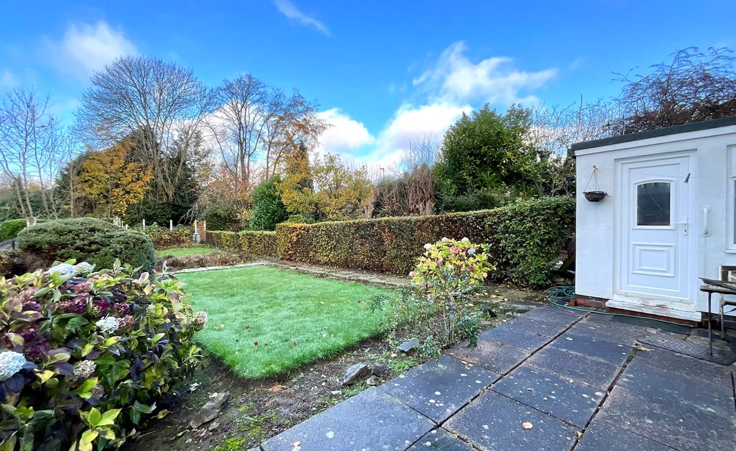 rear garden