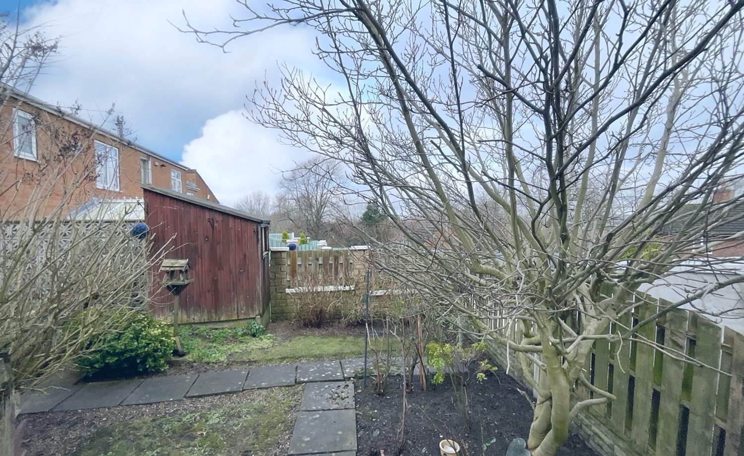 garden