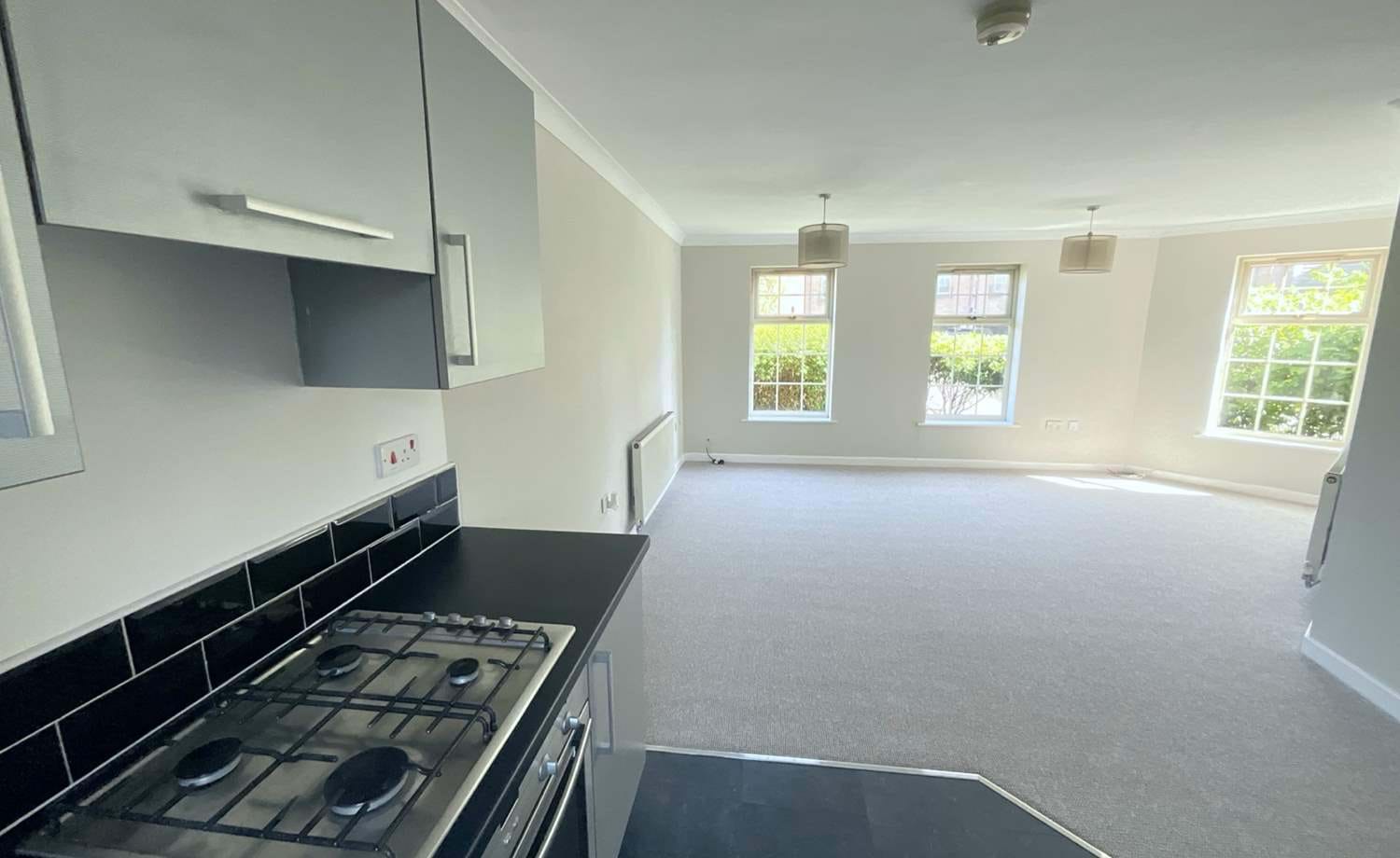 kitchen/living room