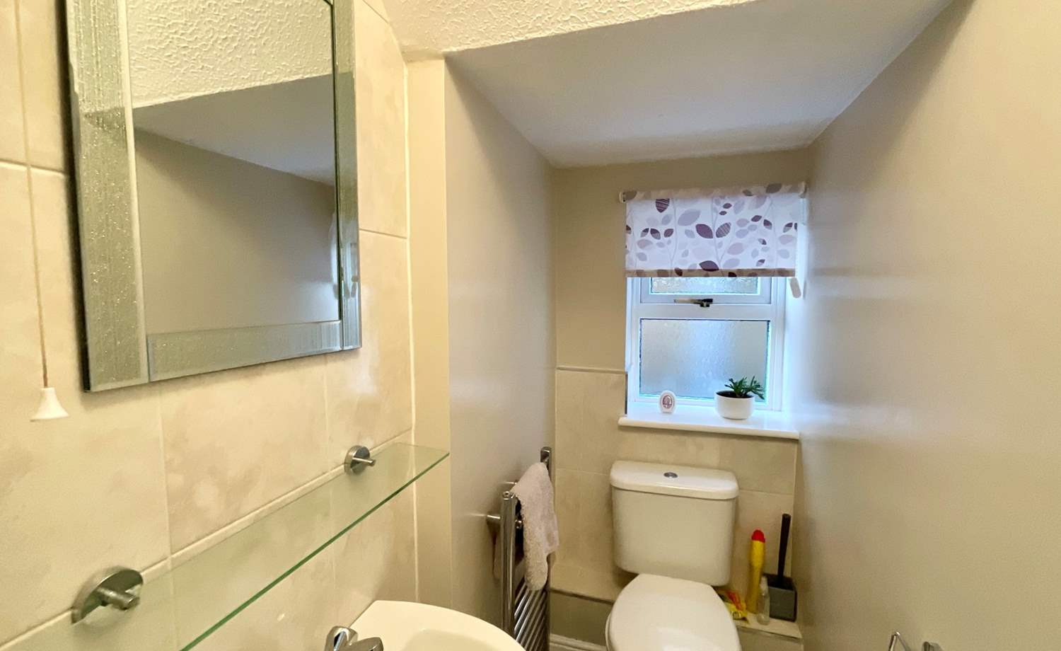 Downstairs WC