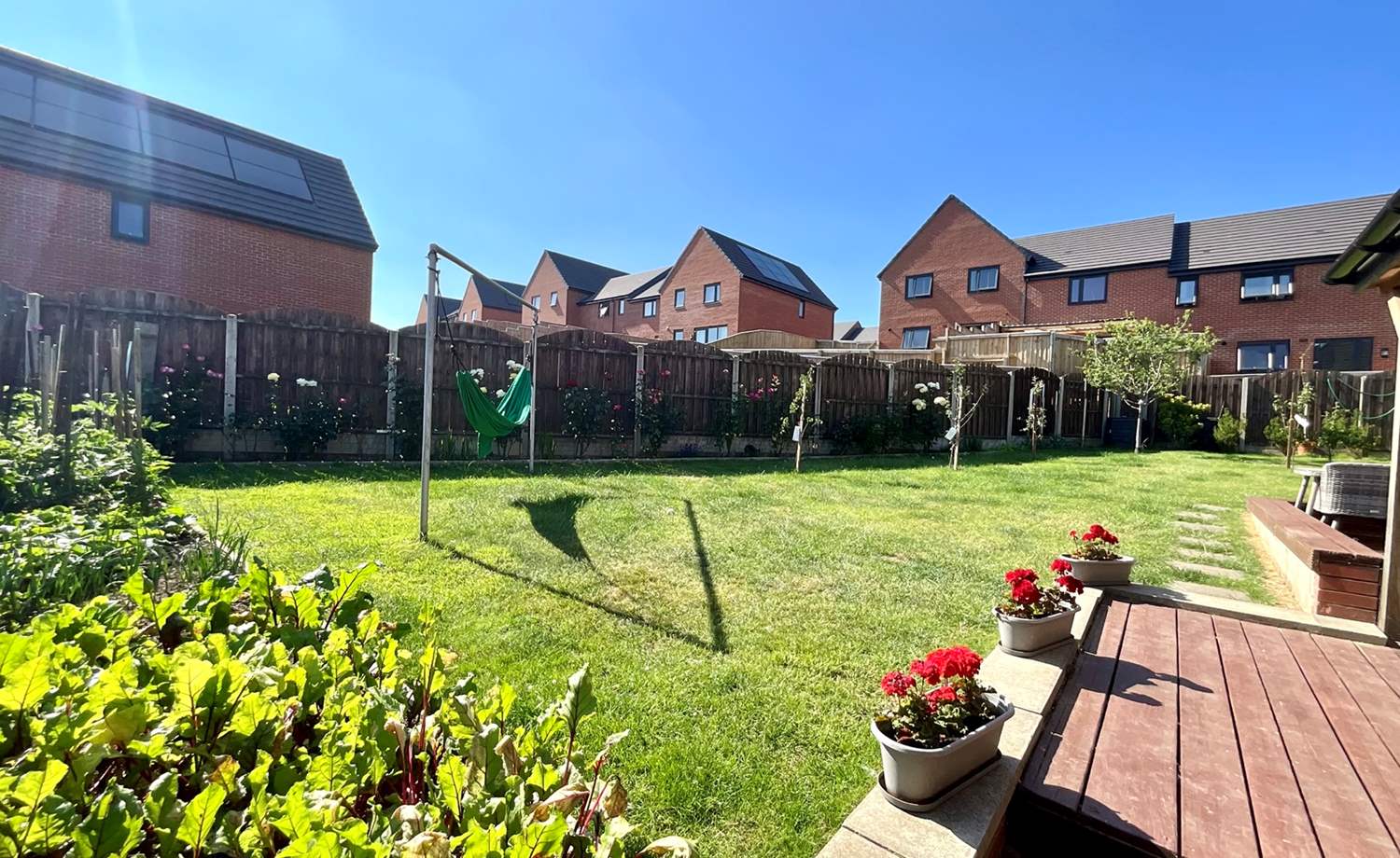 garden