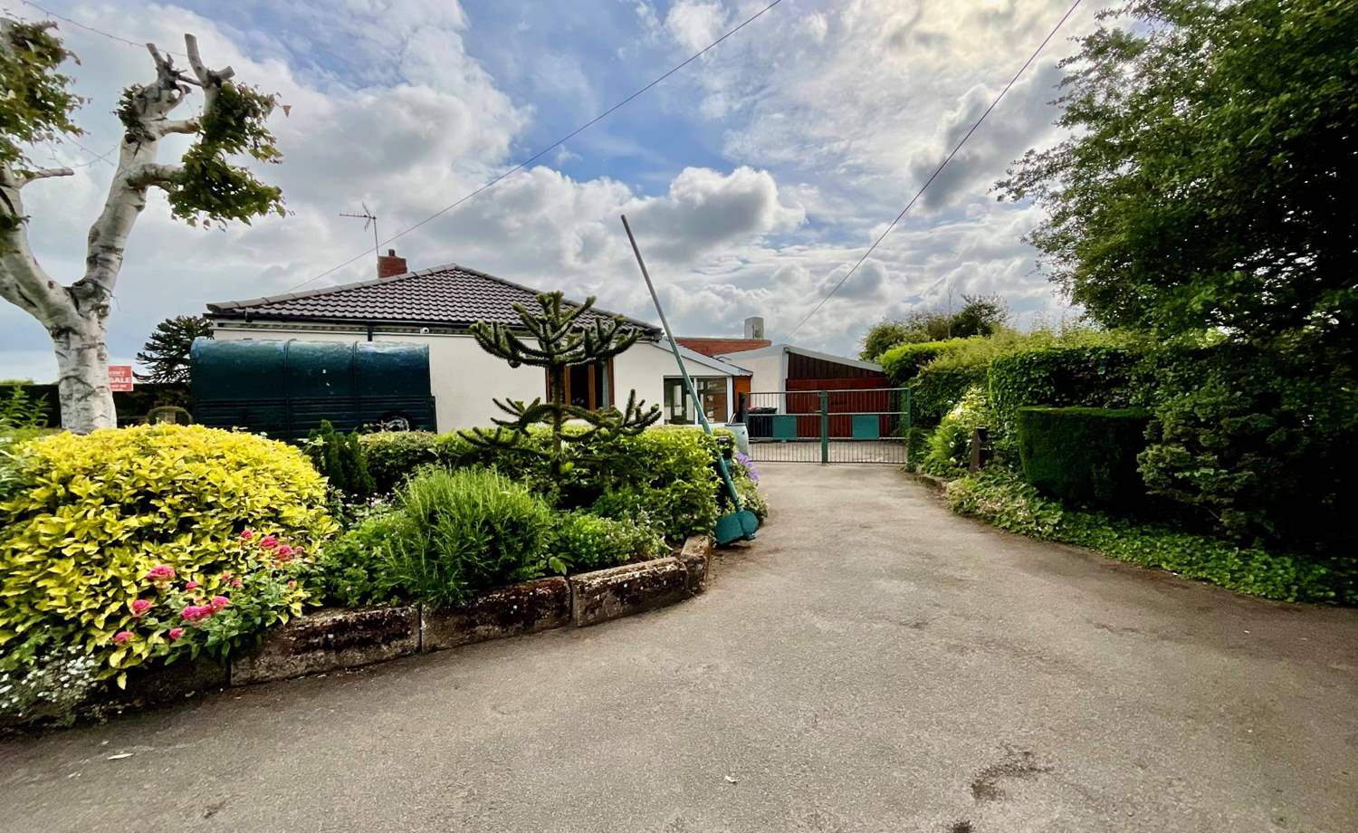 Driveway & Gardens