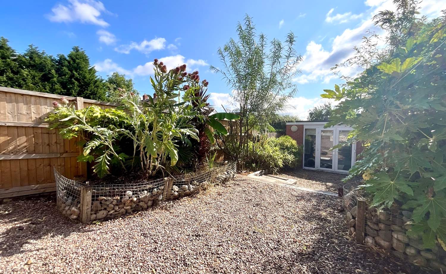 rear garden