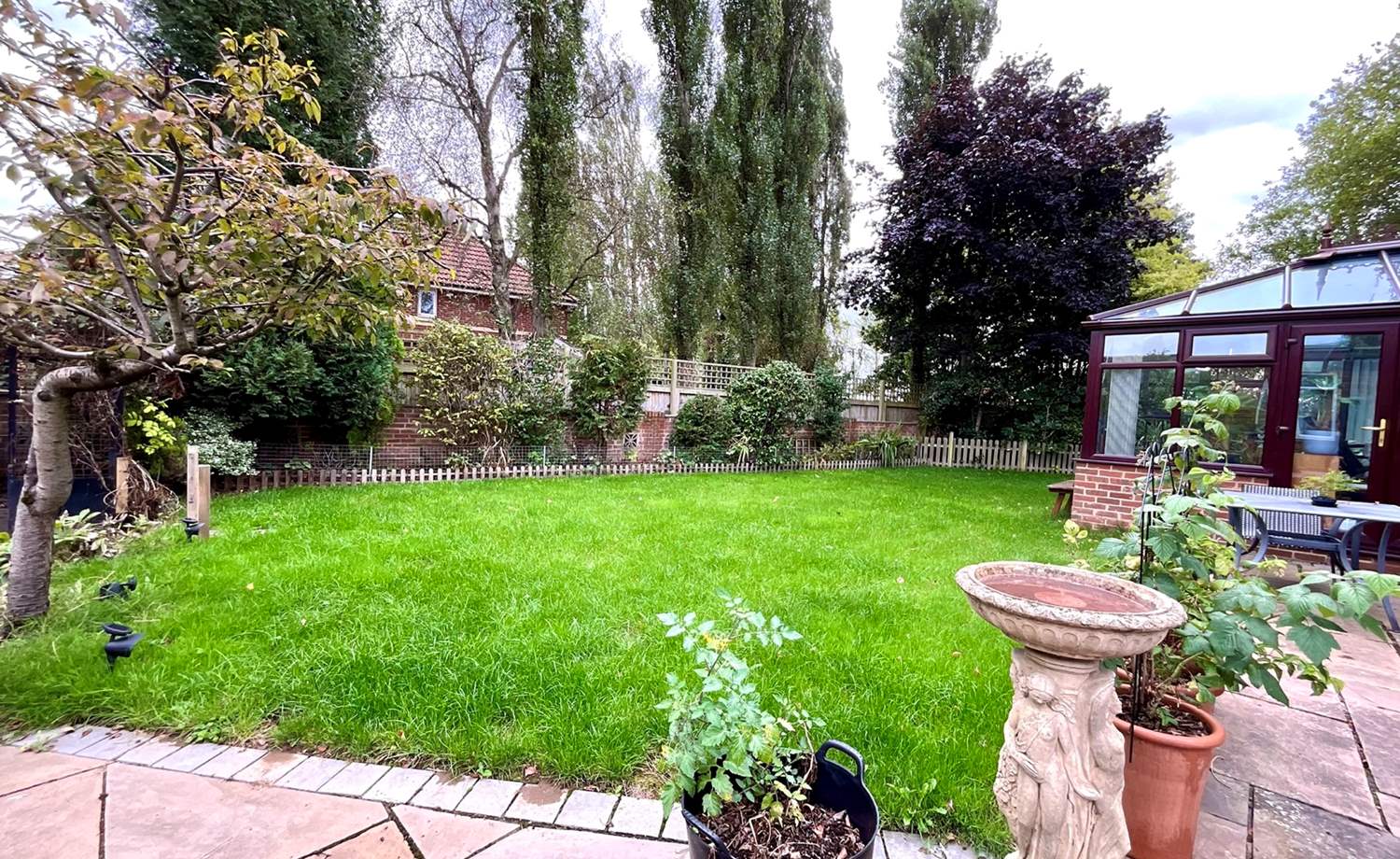rear garden