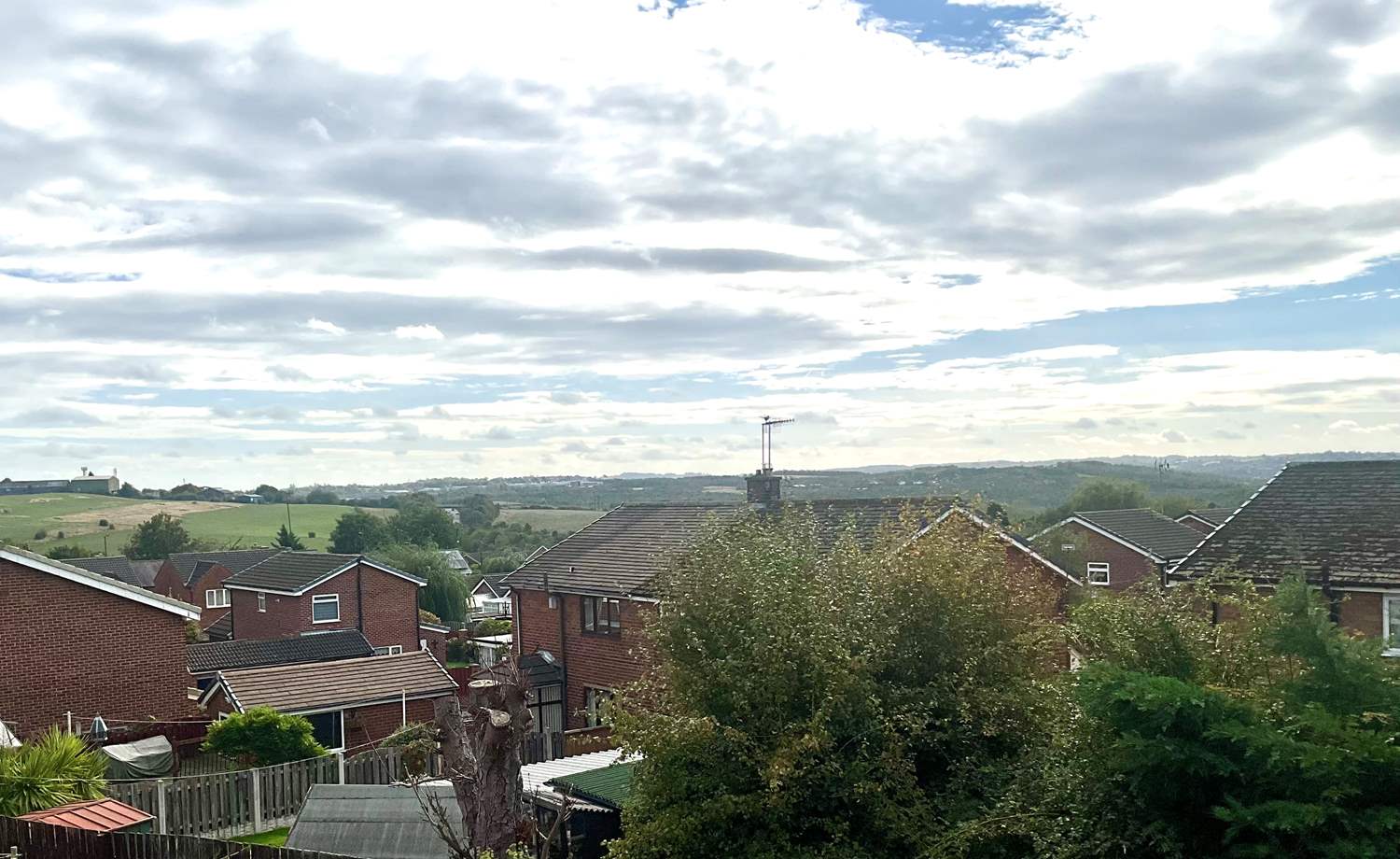 view