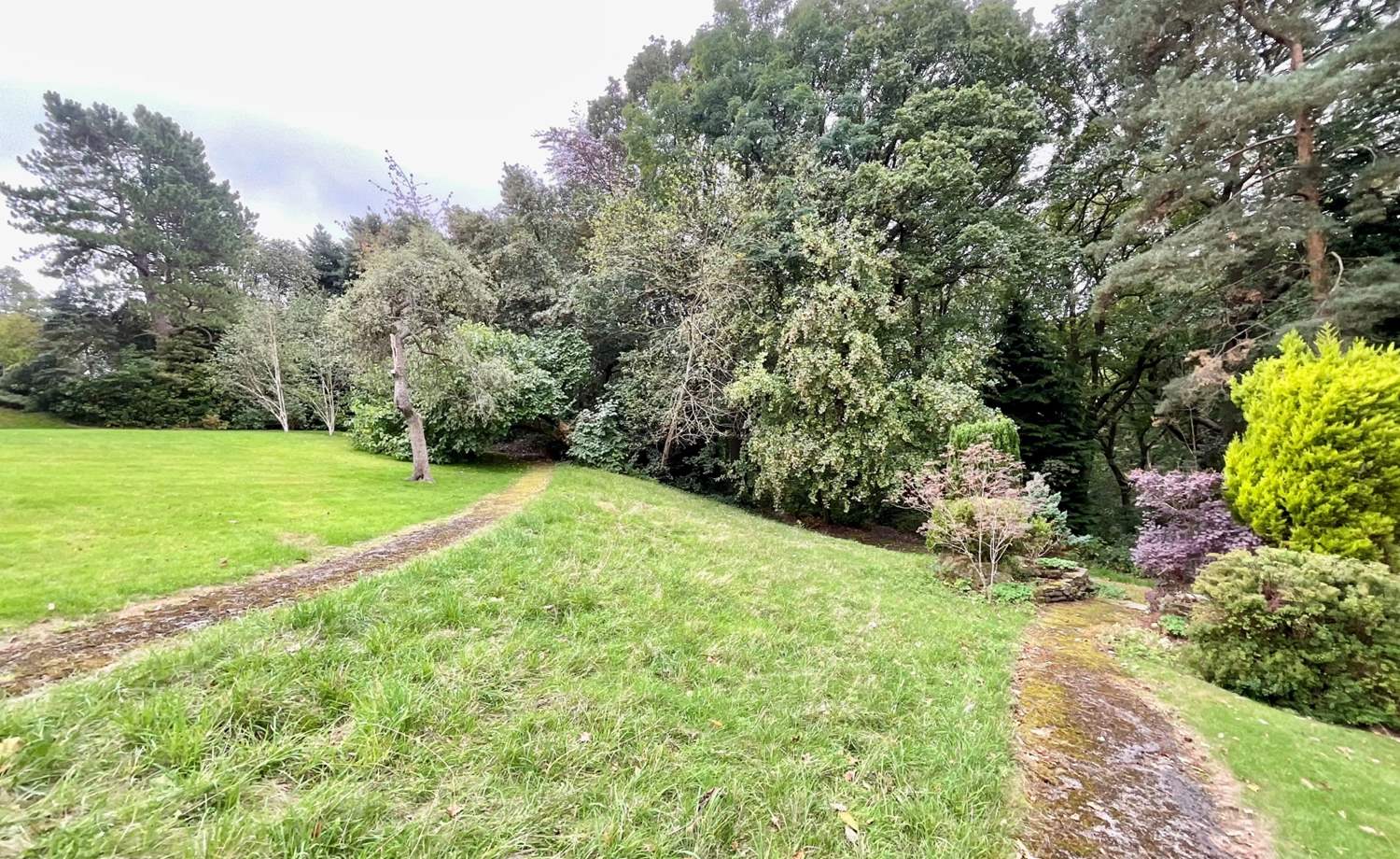 Grounds