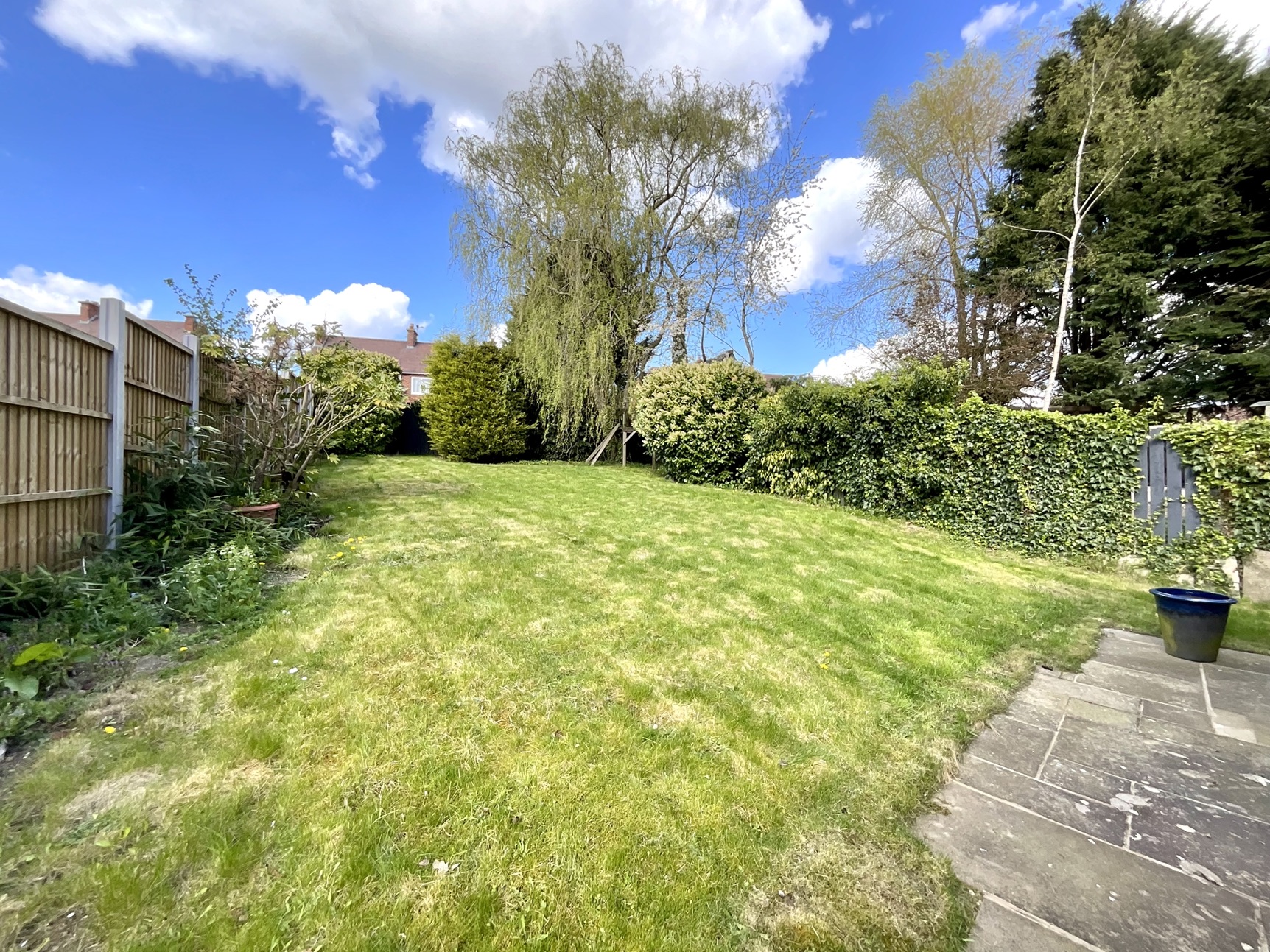 rear garden