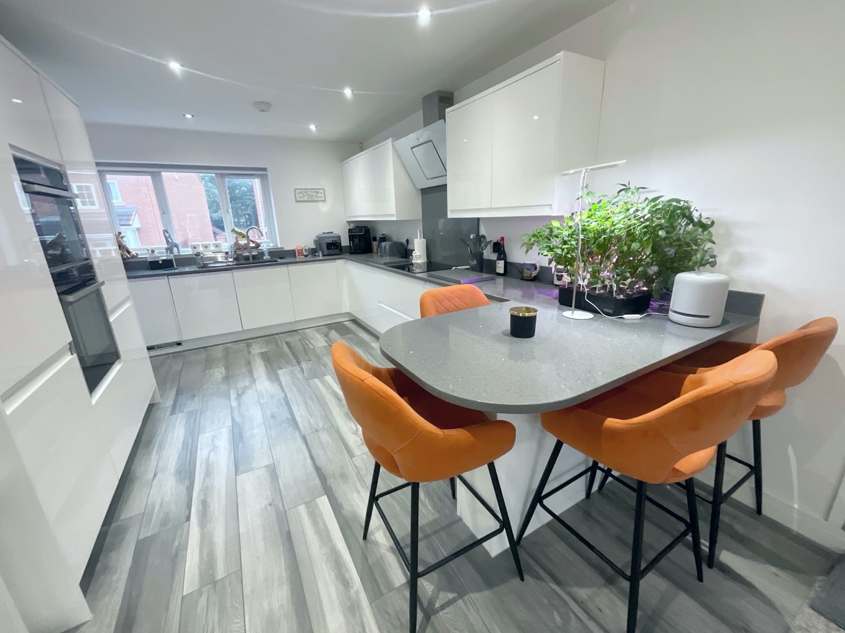 dining/kitchen