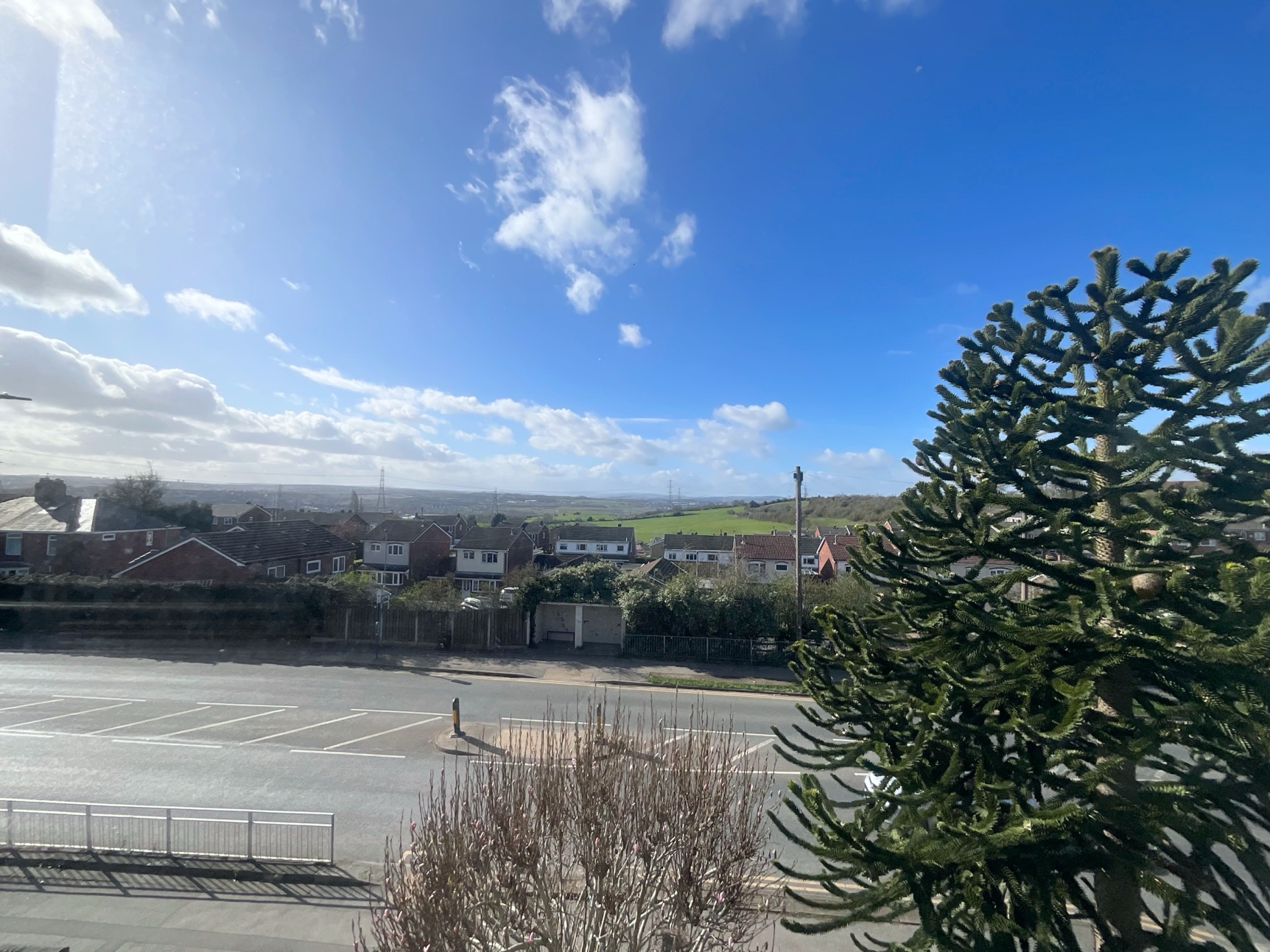 view