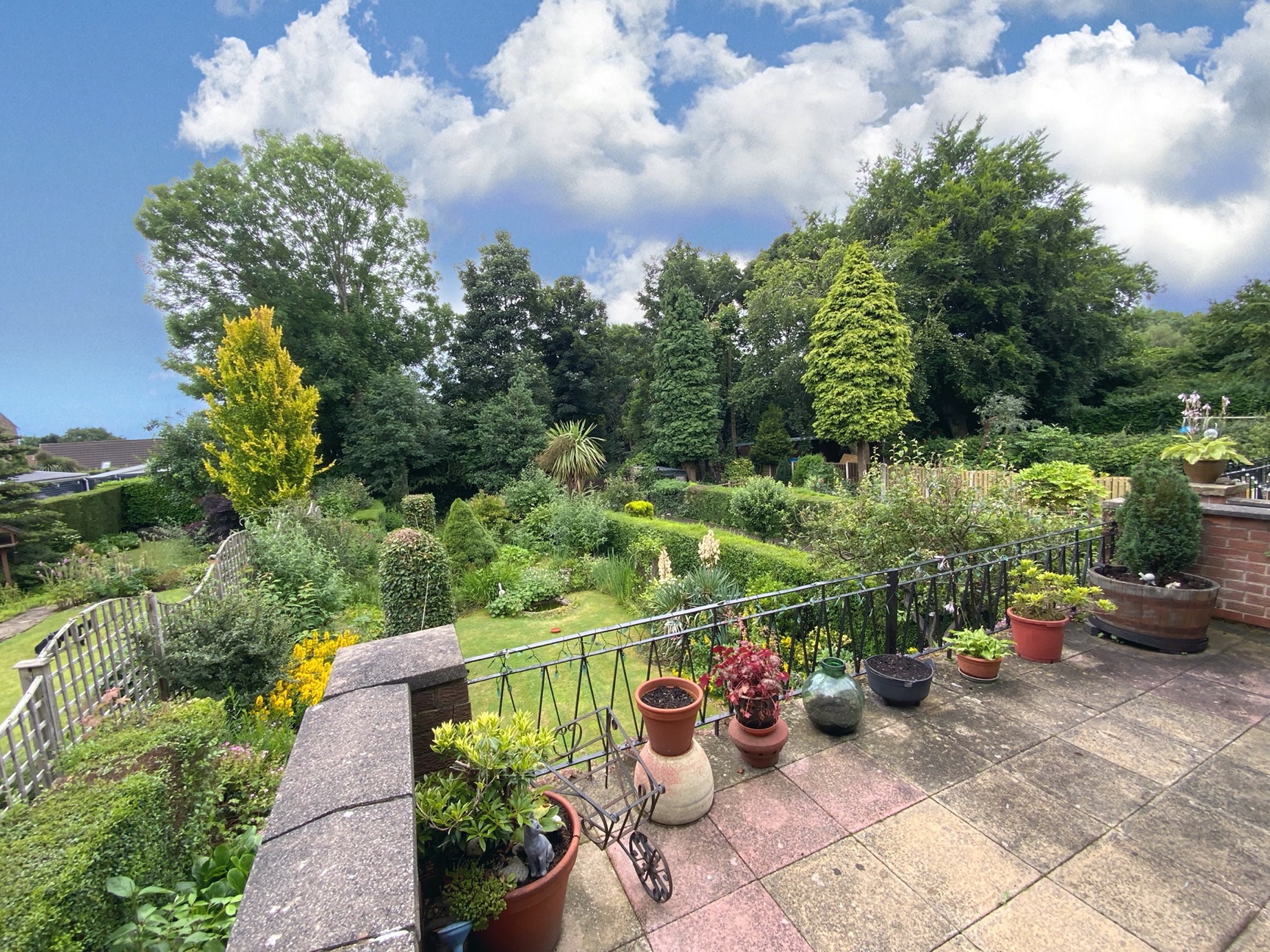 rear garden 