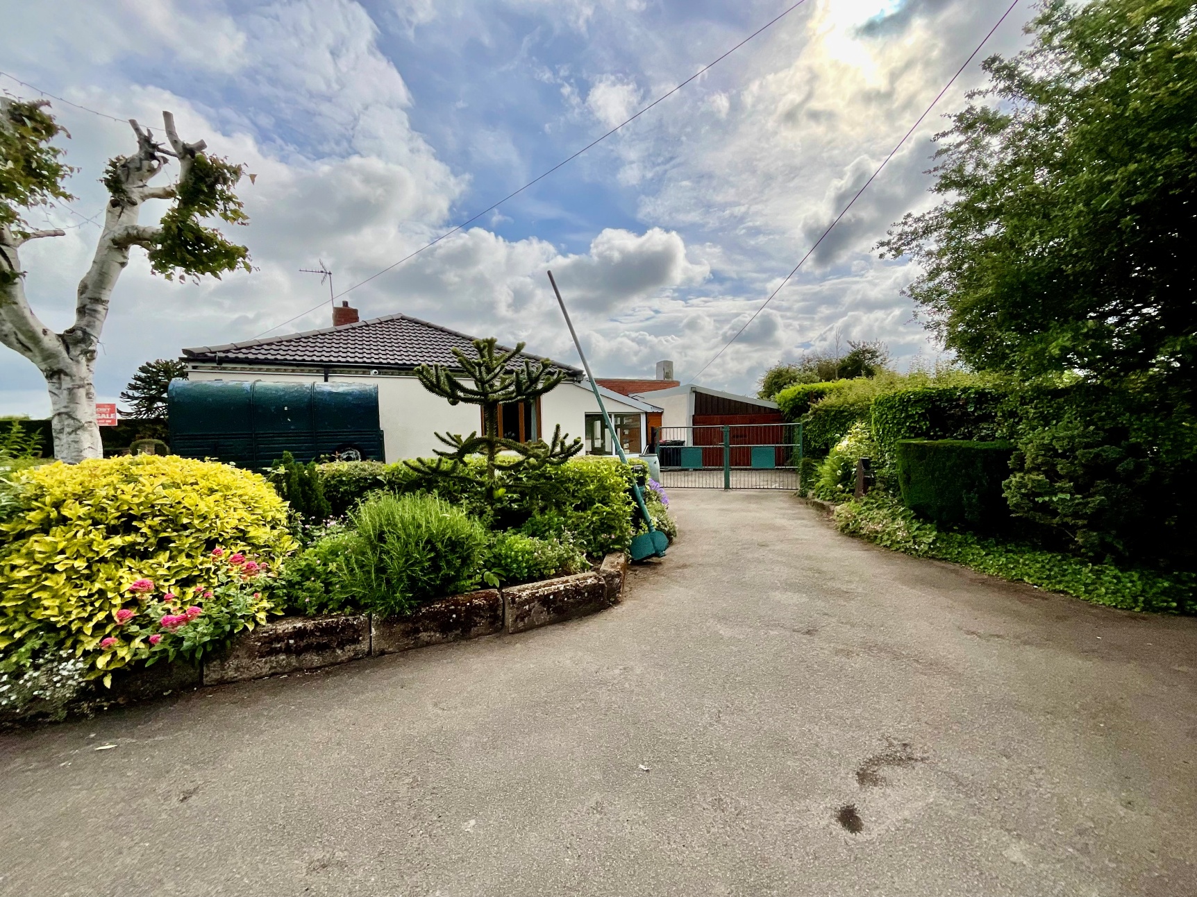 Driveway & Gardens
