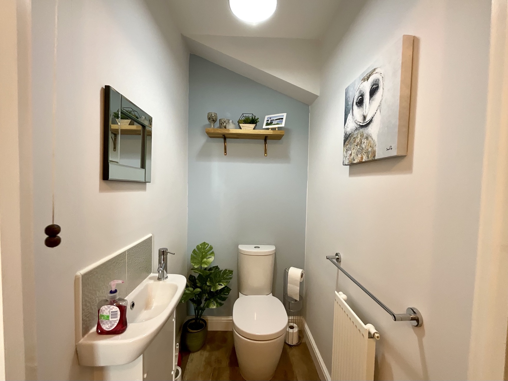 downstairs wc