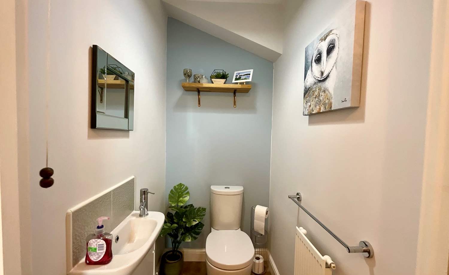 downstairs wc