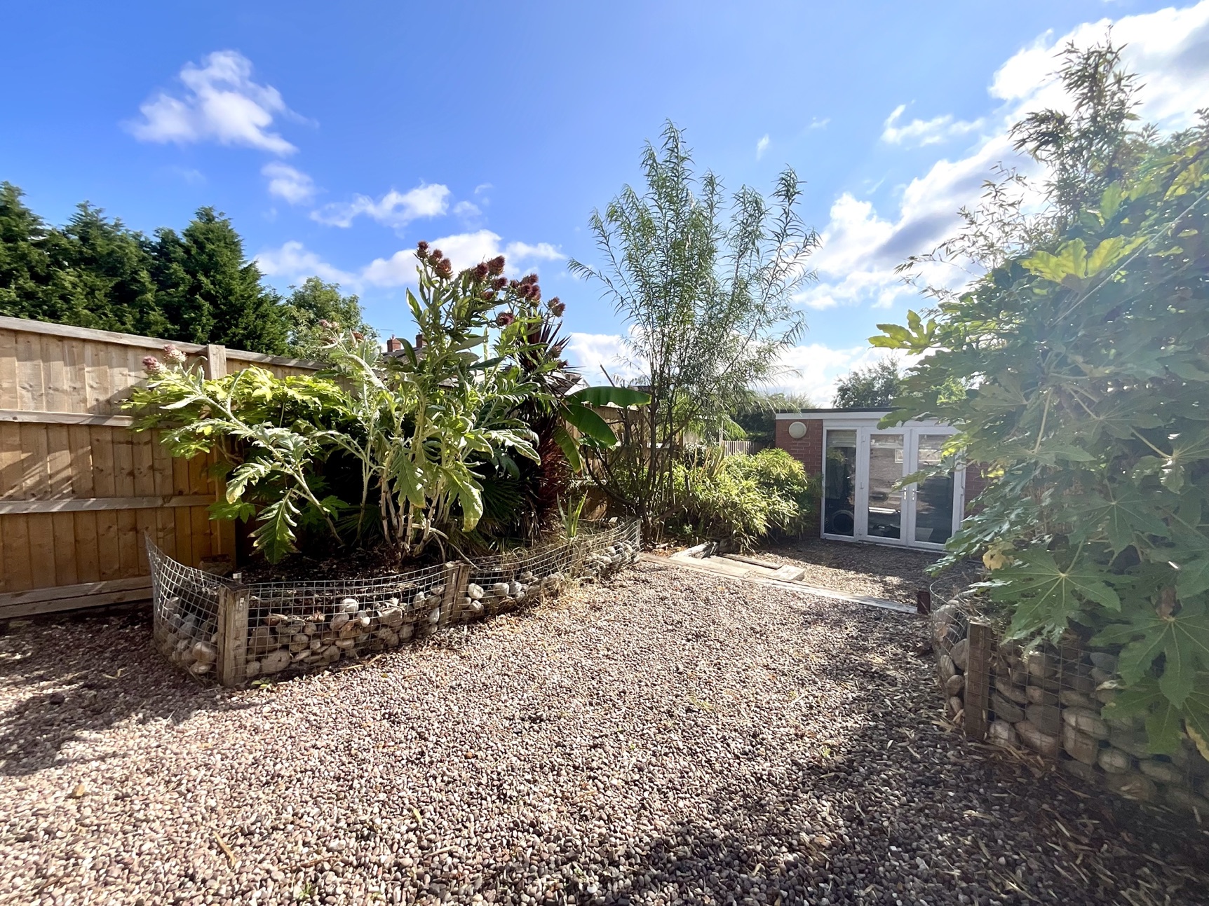 rear garden