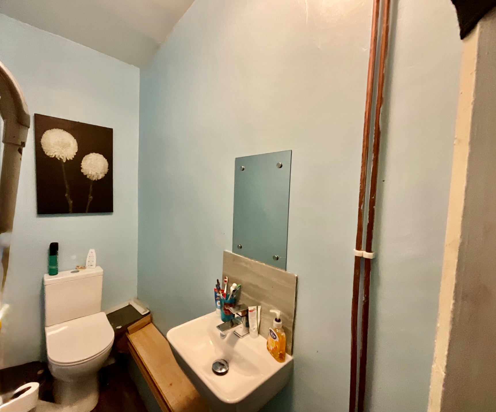 Downstairs WC