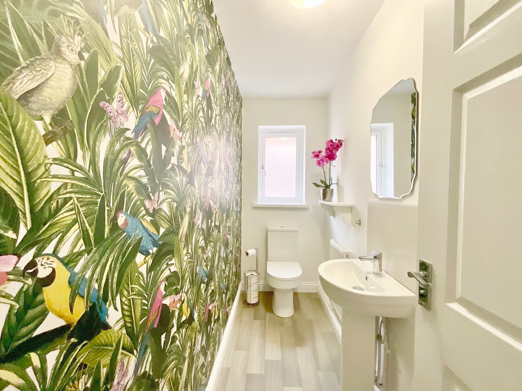 downstairs wc