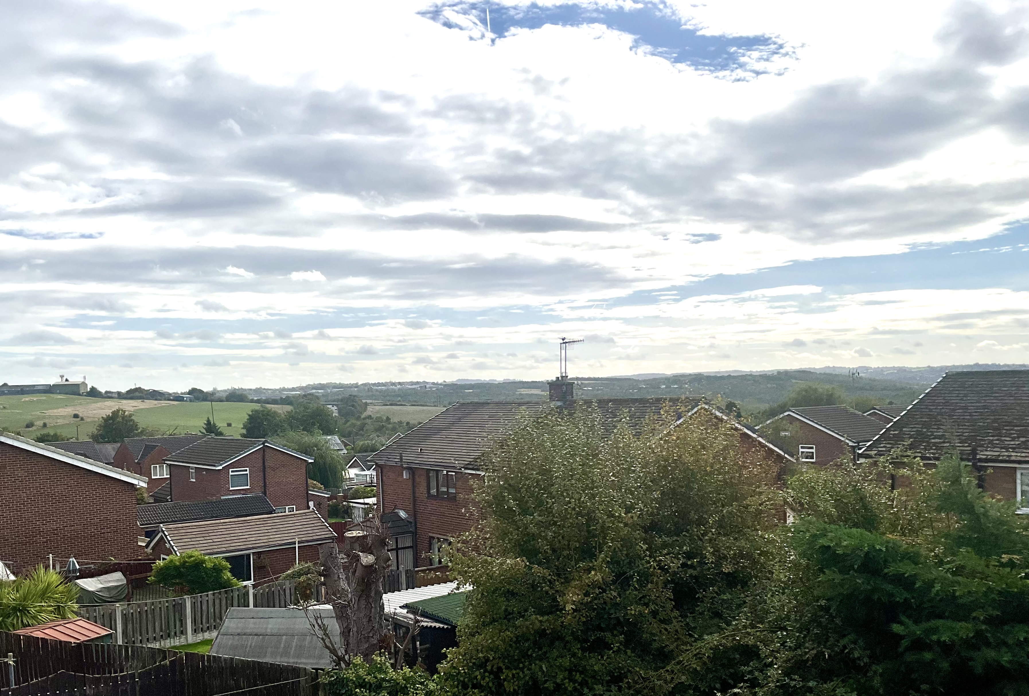 view