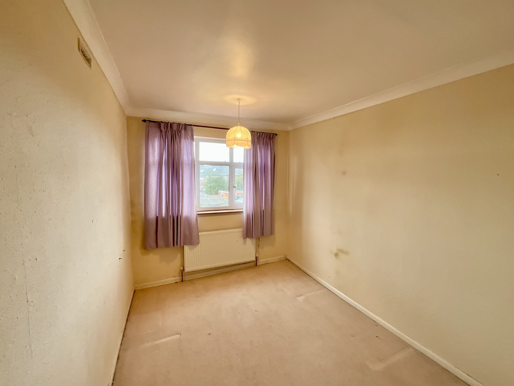 nursery/occasional guest bedroom