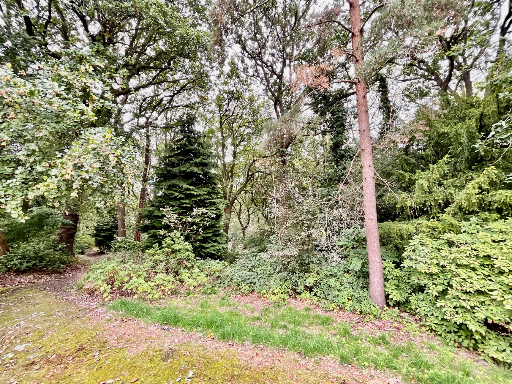 Grounds 