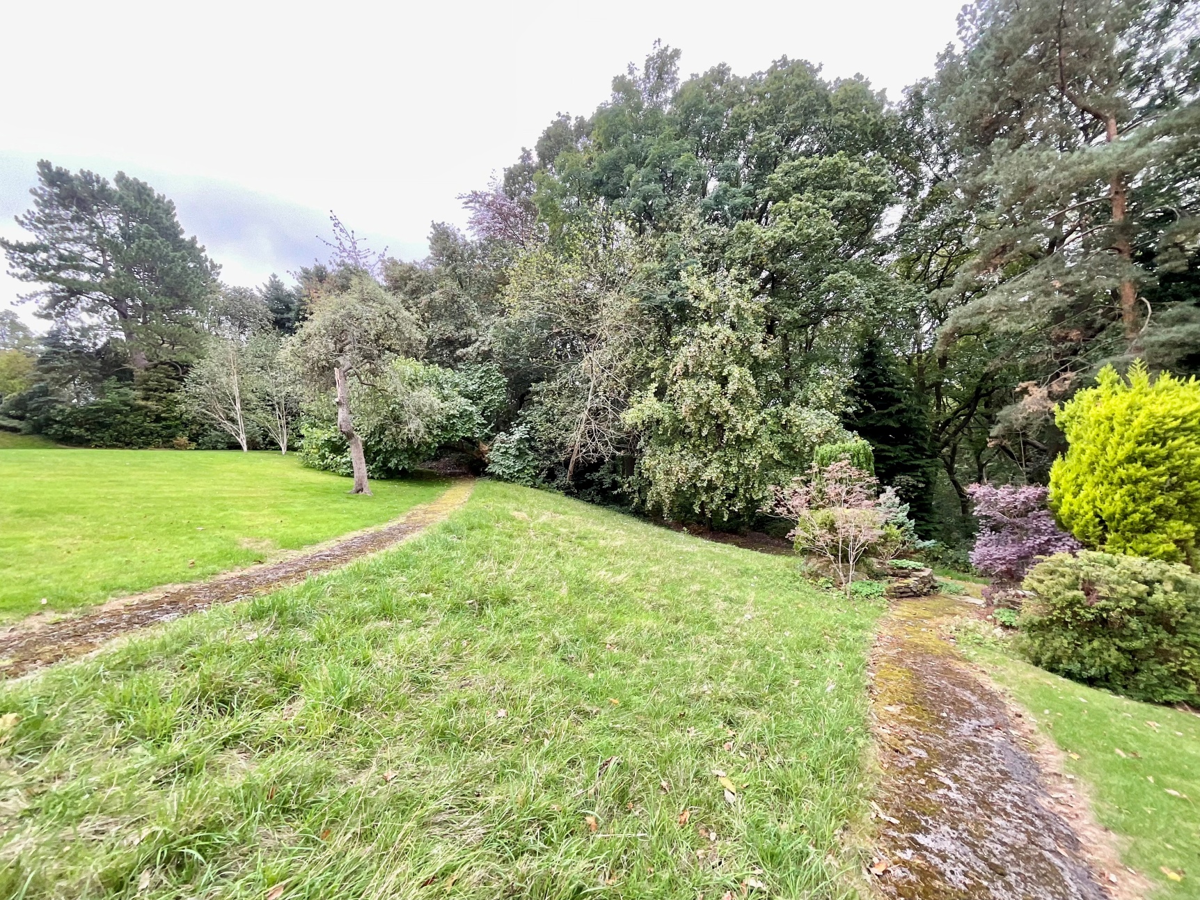 Grounds 