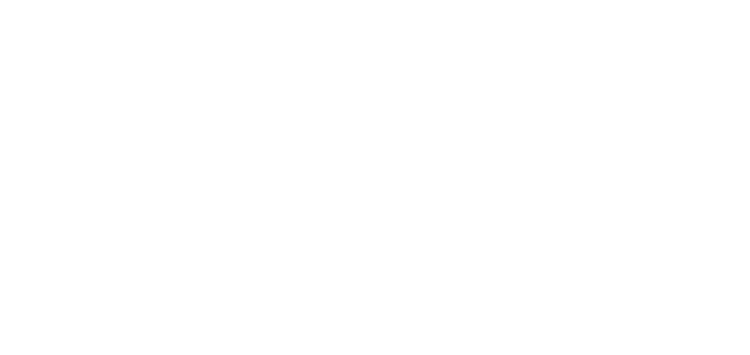 DPS Logo White V3